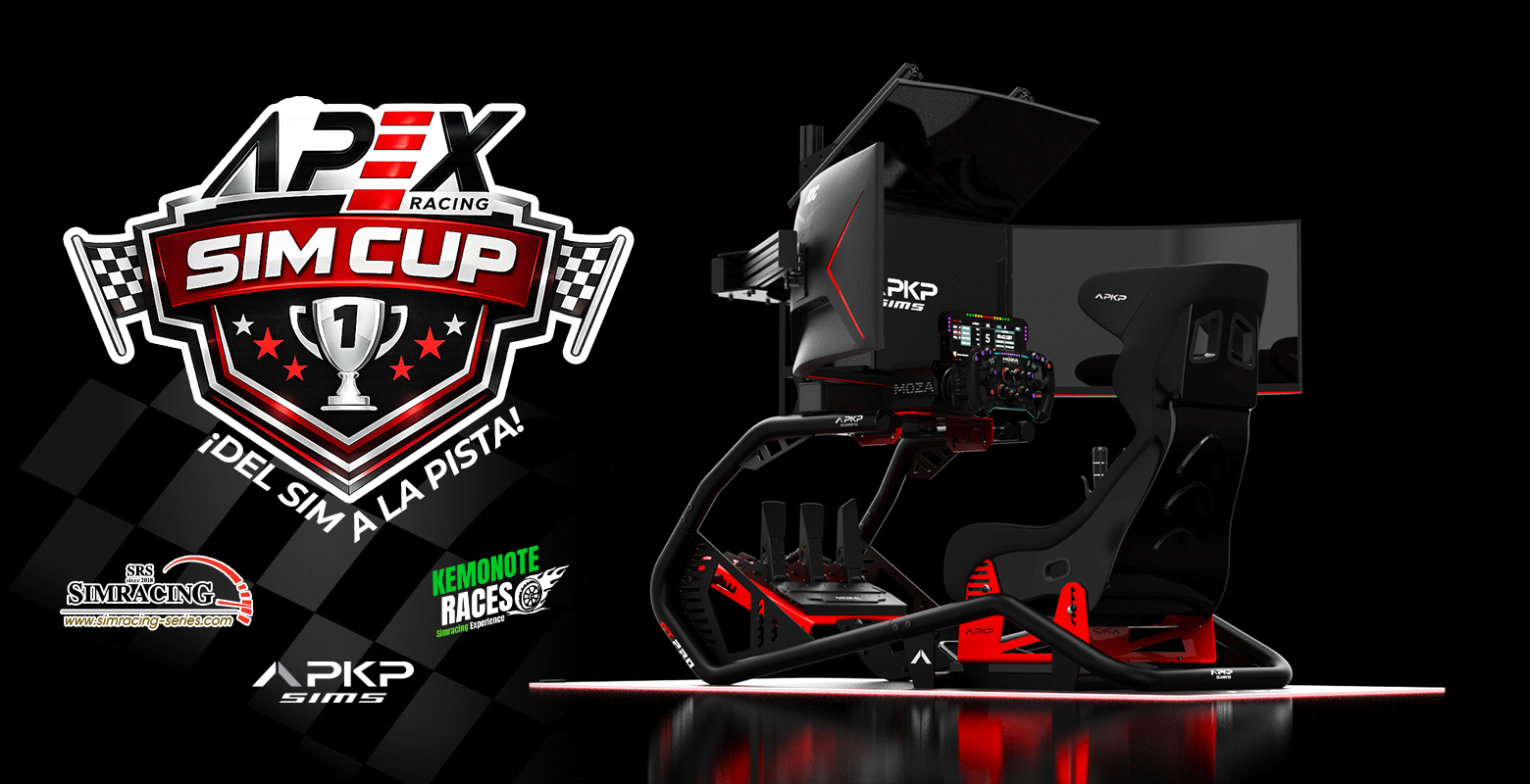 bannersSIMCUP-02